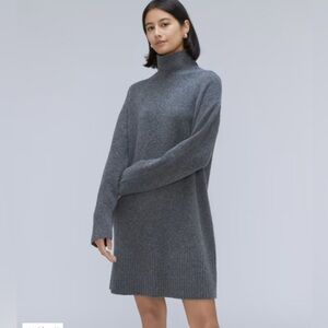 Everlane The Cozy Stretch Turtleneck Dress size XS